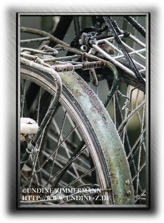 Undine Zimmermann Fahrrad